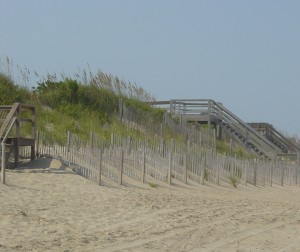 sandcropped1