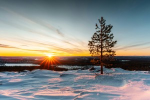 david-becker-8Lp_S_0vfcA-unsplash Photo credit: David Becker for Unsplash